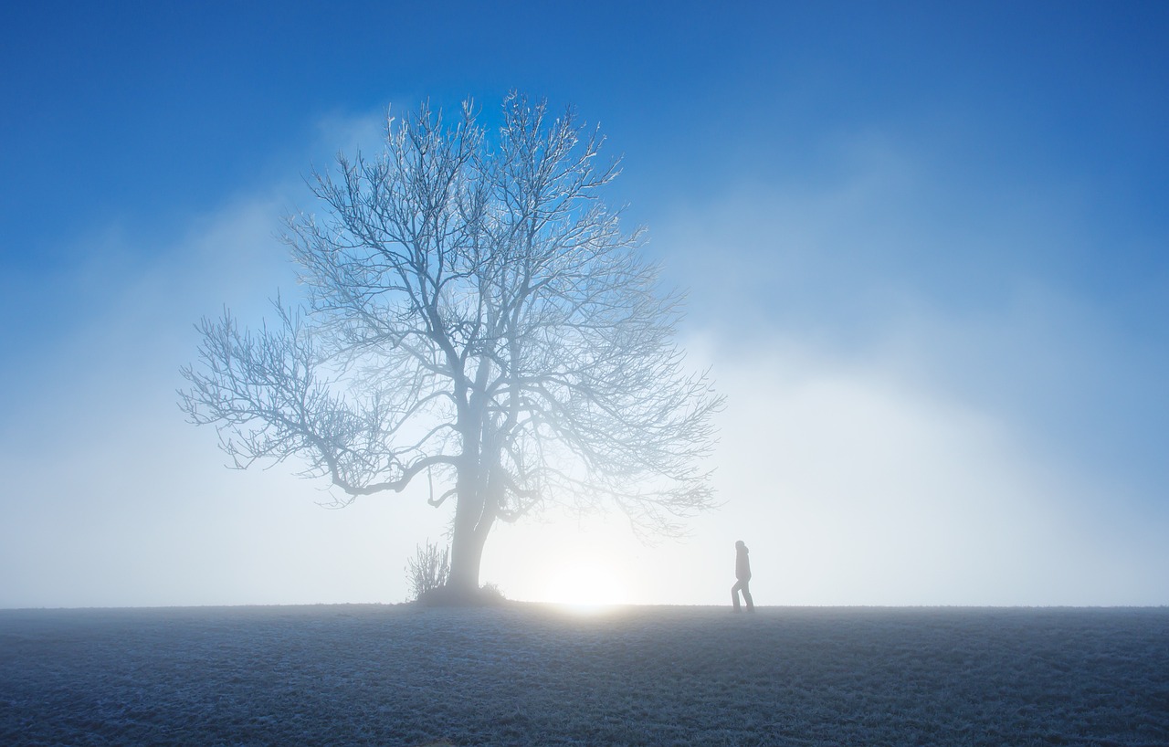 Winter Blues: Finding Light in the Darkest Days